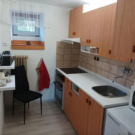 Séjour chez l'habitant House 45 Třebíč